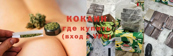 шишки Балахна