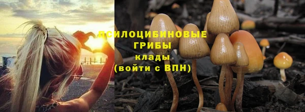 а пвп мука Баксан