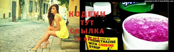 шишки Балахна
