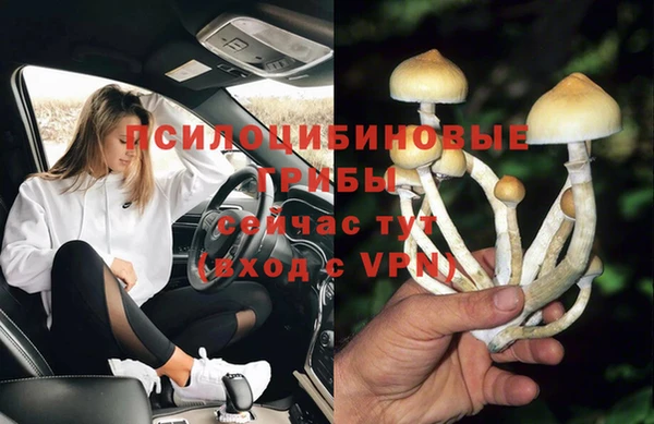 шишки Балахна