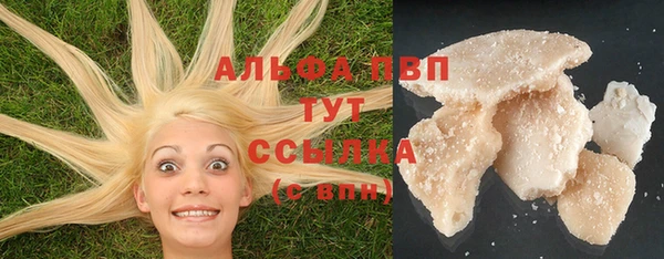 шишки Балахна
