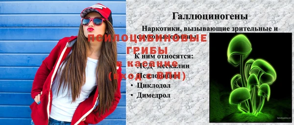 шишки Балахна