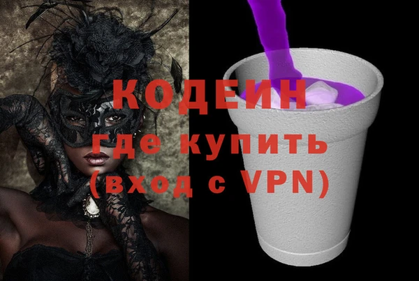 шишки Балахна
