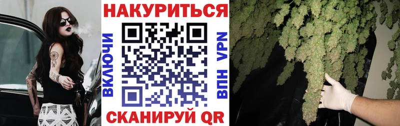 Канабис индика  Кущёвская 